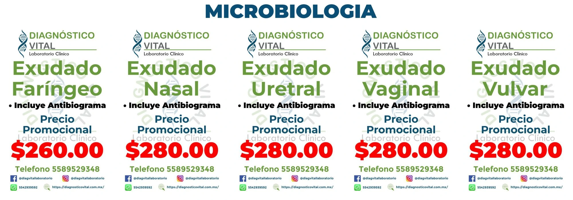 BANNER MICROBIOLOGIA