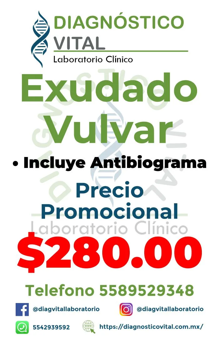 EXudado Vulvar_15_11zon