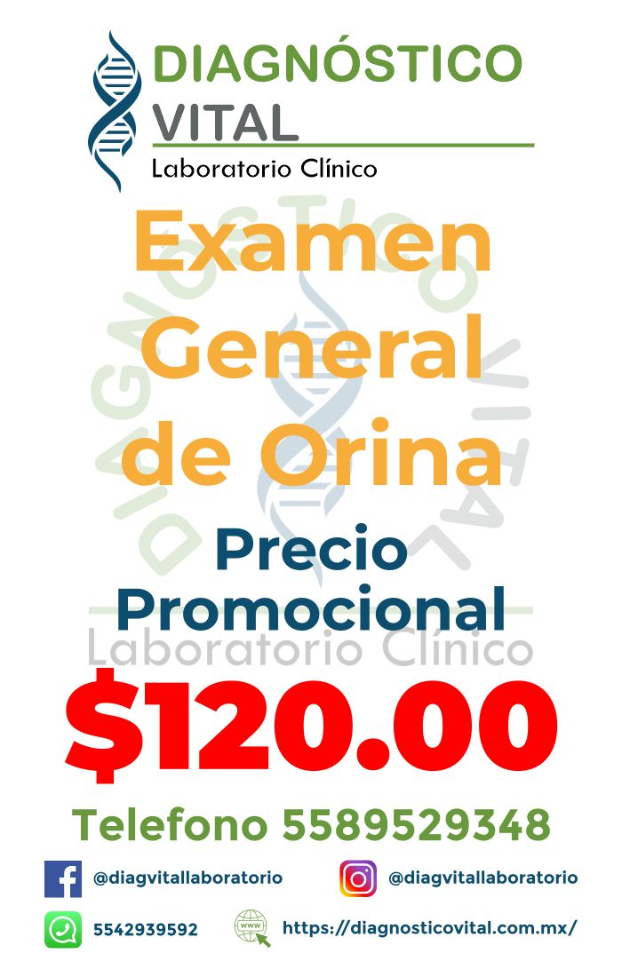 Examen general de orina