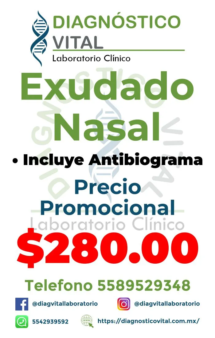 Exudado Nasal_19_11zon