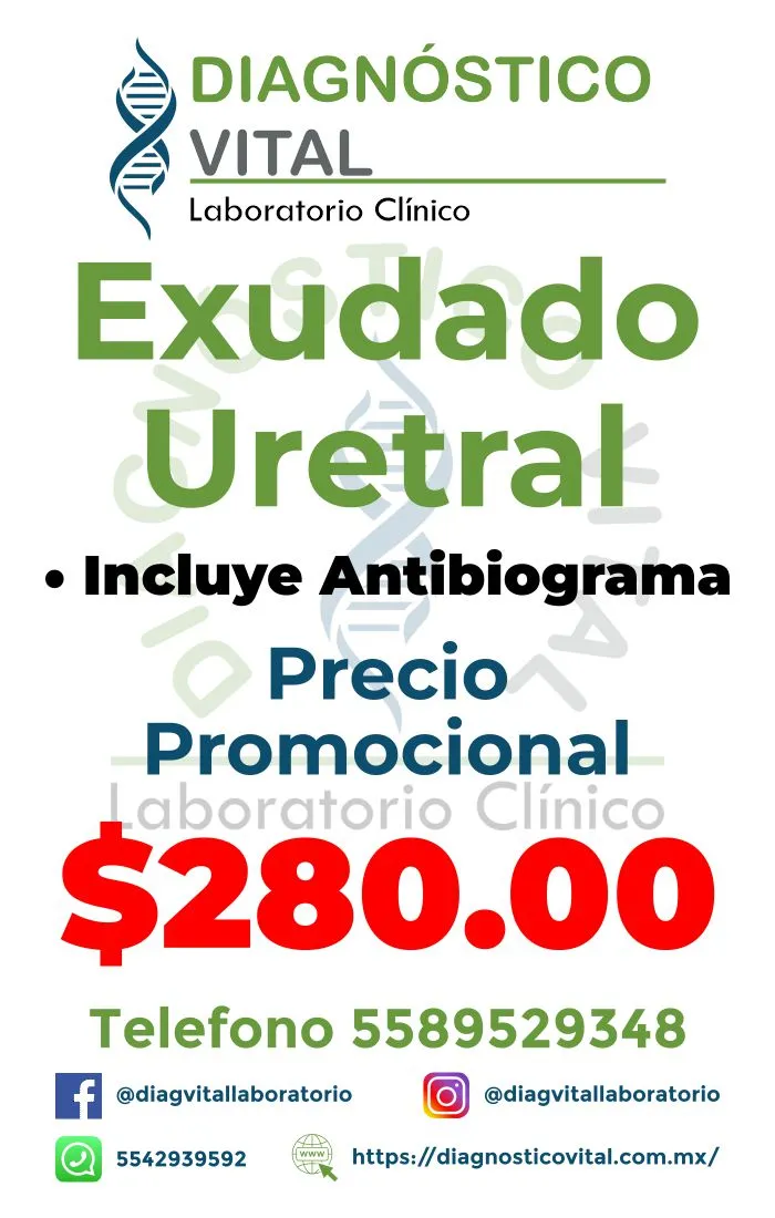 Exudado Uretral_16_11zon