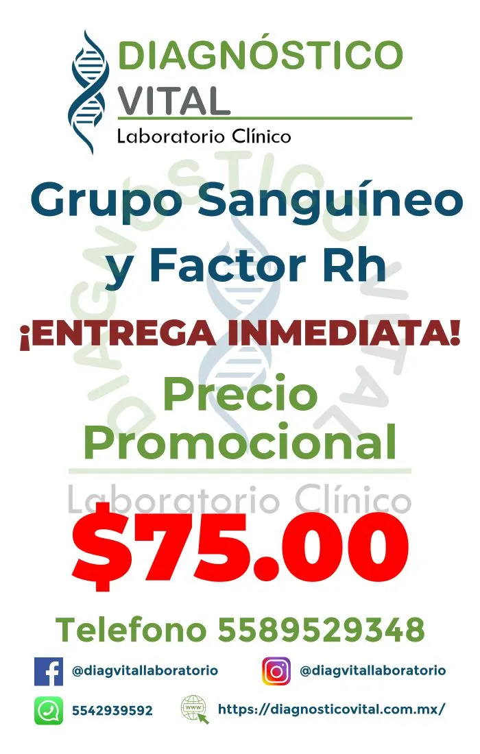 Grupo Sanguineo y Factor Rh_7_11zon