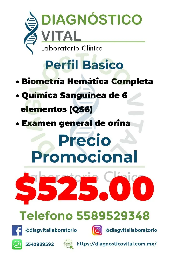 Perfil Basico_27_11zon