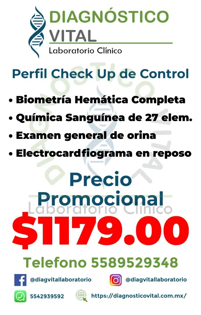 Perfil Check Up de Control_23_11zon