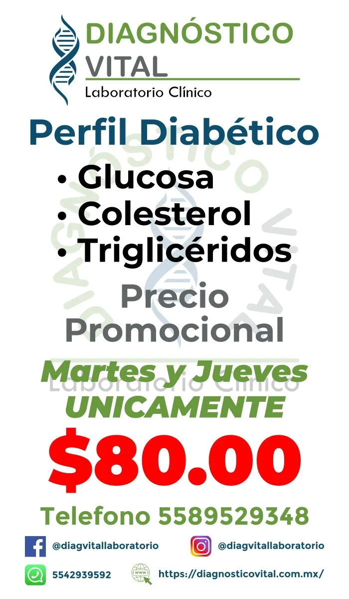 Perfil Diabetico_4_11zon