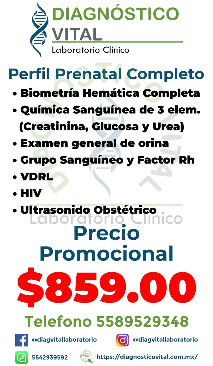 Perfil Prenatal completo_24_11zon