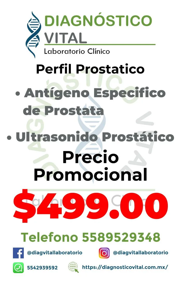 Perfil Prostatico_28_11zon