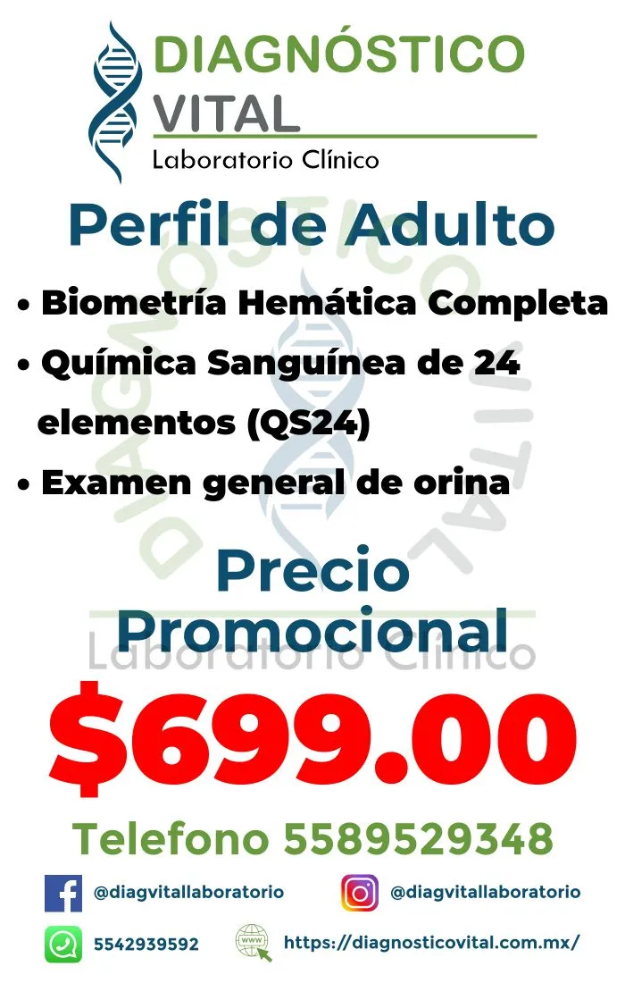 Perfil de adulto_25_11zon