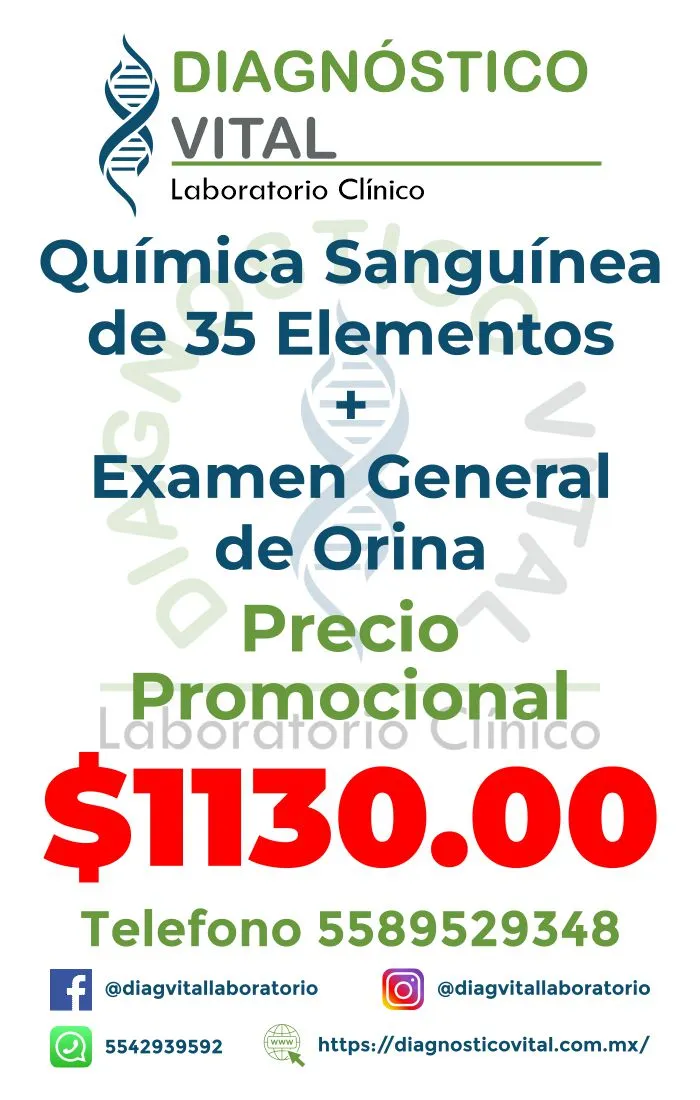 QS35 + EGO_13_11zon