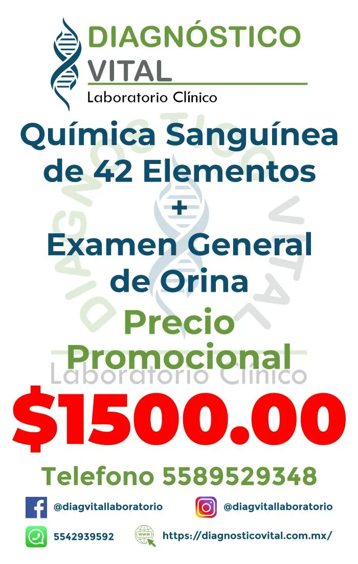 QS42 + EGO_12_11zon