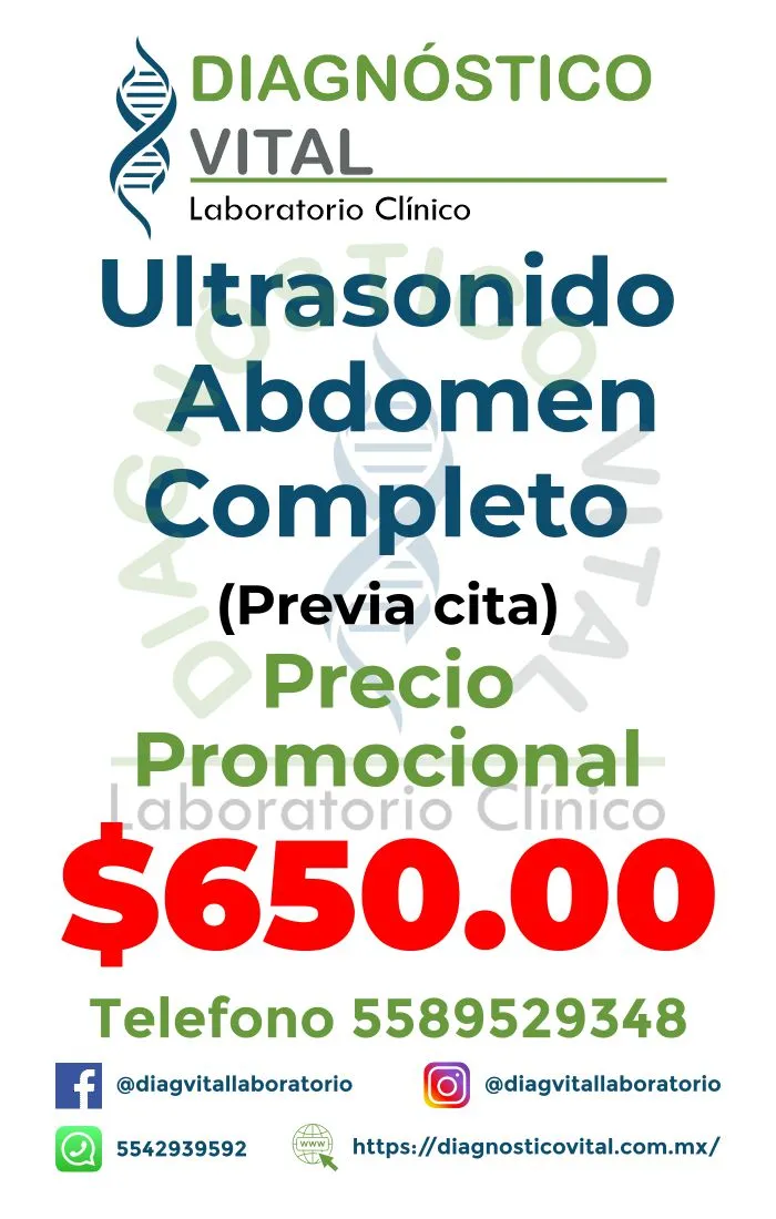 USG Abdomen Completo_6_11zon
