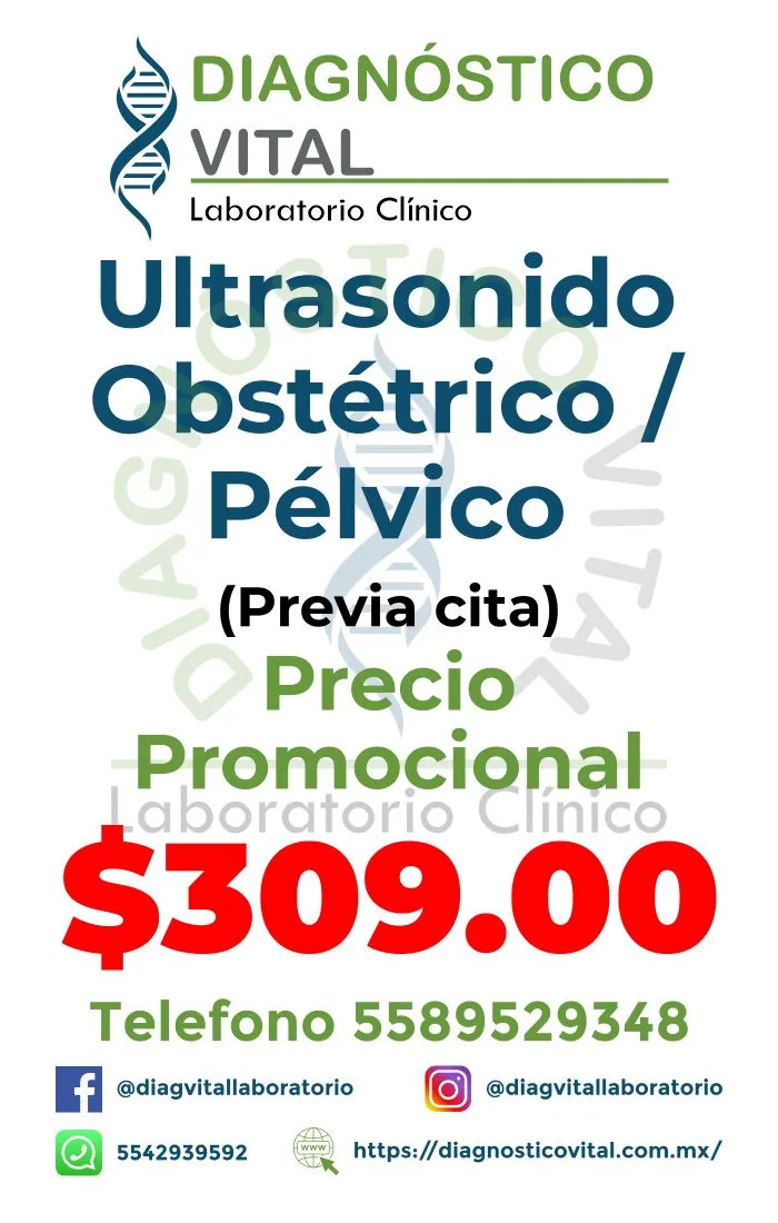 USG OBSTETRICO – PELVICO_9_11zon